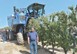 Ημερίδα για την καλλιέργεια των ξηρών καρπών στη Θεσσαλία 