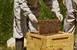 Μελισσοκομικό πρόγραμμα 2021
