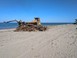 Ο Δήμος Τεμπών καθαρίζει την παραλία της Αιγάνης 