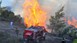 Ερώτηση Λαμπρούλη για τις καταστροφές ελαιόδεντρων από πυρκαγιά στους Γόννους