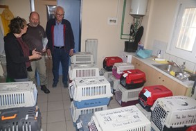 Στειρώθηκαν 400 ζώα στο Δημοτικό Κυνοκομείο Λάρισας