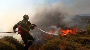 Αγιά: Φωτιά σε δύσβατη περιοχή της Μελιβοίας 