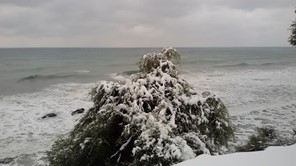 Μέχρι τα παράλια της Λάρισας έφτασε το χιόνι (Εικόνες)