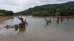 Σκήτη: Η λίμνη στη Λάρισα με τα ξερά δέντρα μέσα στο νερό (φωτο)