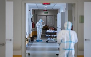 24 νέα κρούσματα κορωνοϊού στη Λάρισα - 1.142 σε όλη τη χώρα 