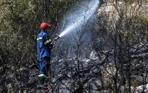 Τέθηκε υπό έλεγχο φωτιά στην περιοχή της Αγιάς - Κάηκαν 50 στρέμματα