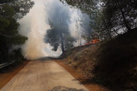 Φωτιά στο Κιτίκι Φαρσάλων - Καίγεται δασική έκταση με πουρνάρια