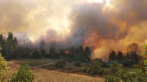 Υπό έλεγχο η φωτιά στα ορεινά της Ανάβρας - "Πέρασε" από την περιοχή των Φαρσάλων