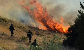 Φωτιά καίει δασική έκταση στα Αμπελάκια Λάρισας