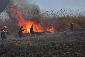 Φωτιά σε έκταση με ξερά χόρτα στα όρια των νομών Λάρισας-Καρδίτσας 