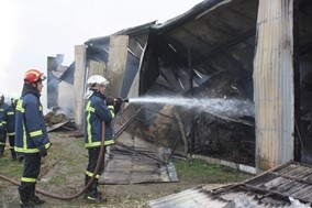 Πυρκαγιά σε κτηνοτροφική μονάδα στο 3ο χλμ Λαρίσης - Αθηνών