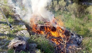 Γιάννουλη: Πρόστιμο για πρόκληση πυρκαγιάς σε γεωργική έκταση 