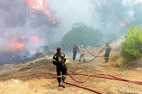 Πυρκαγιά στο Λιβάδι Ελασσόνας