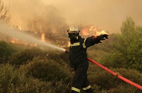 Φωτιά σε δασική έκταση στο Πολυδένδρι Αγιάς – Τέθηκε υπό έλεγχο