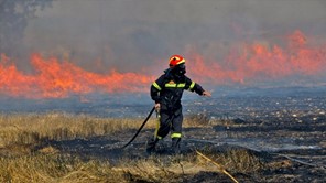 Πυρκαγιά σε χωράφια έξω από τη Λάρισα - Απειλήθηκαν επιχειρήσεις 