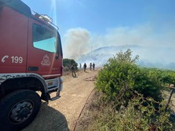 Υπό μερικό έλεγχο η πυρκαγιά στο Δαμάσι Τυρνάβου