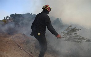 Μπαράζ πυρκαγιών στη Λάρισα - Στάχτη μαντρί στην Αγναντερή
