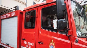 Λάρισα: Στον… δεύτερο όροφο διαμερίσματος σκαρφάλωσε οχιά - Aπομακρύνθηκε από την Πυροσβεστική 