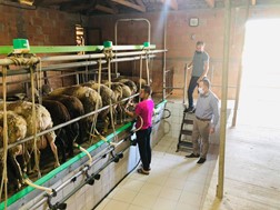 Κόκκαλης: Ανεβαίνει το κόστος παραγωγής στους κτηνοτρόφους, αδικαιολόγητες οι καθυστερήσεις στις επιδοτήσεις 