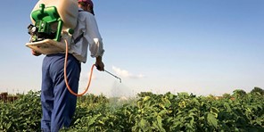 Έλεγχοι παραγωγών – χρηστών φυτοπροστατευτικών προϊόντων έτους 2021