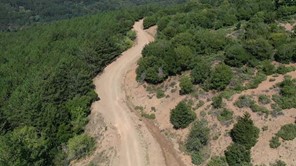 Ορεινό κύκλωμα Κισσάβου: Το δρόμο Σπηλιά - Αμπελάκια βελτιώνει η Περιφέρεια Θεσσαλίας (βίντεο)