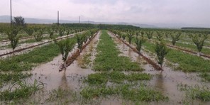 Περιφέρεια Θεσσαλίας: Ενημέρωση για τις αποζημιώσεις των αγροτών λόγω "'Ιανού" 