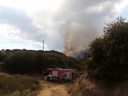 Mεγάλης έκτασης πυρκαγιά σε δασώδη περιοχή στην Ελασσόνα 