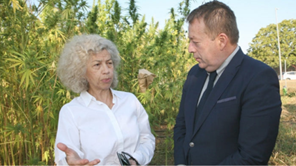 Ο υφυπουργός Αγροτικής Ανάπτυξης στη συγκομιδή κάνναβης στο ΤΕΙ Θεσσαλίας