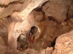 Ανακάλυψη νέων οργανισμών στο σπήλαιο Μελισσότρυπα Ελασσόνας
