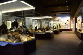 Η ΚΛΙΑΦΑ χορηγεί 1.500 επισκέψεις μαθητών στο Μουσείο Φυσικής Ιστορίας Μετεώρων
