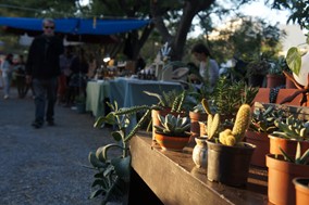 Η 11η Γιορτή Οικολογικής Γεωργίας και Χειροτεχνίας στον Βόλο