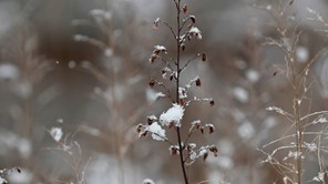 Πρόσκαιρες χιονοπτώσεις στα ορεινά της Θεσσαλίας - Χειμωνιάτικο σκηνικό 