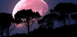 Ροζ Φεγγάρι: Η πρώτη υπερ-πανσέληνος του 2021 απόψε το βράδυ στον ουρανό