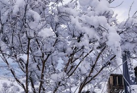 Νέα επιδείνωση του καιρού – Έρχονται χιόνια το Σαββατοκύριακο και στη Θεσσαλία