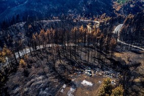 Οι μεγάλες πυρκαγιές του 2021 - 11.370 στρέμματα κάηκαν το καλοκαίρι στη Θεσσαλία