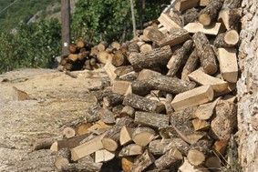Ανάρπαστα τα ξύλα των δασαρχείων – Υποβλήθηκαν φέτος 766 αιτήσεις στο νομό Λάρισας