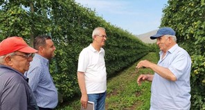 Αυτοψία του ΕΛΓΑ στον Τύρναβο - Επλήγησαν καλλιέργειες με ροδάκινα, αχλάδια, αμπέλια και κεράσια