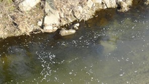 Θεσσαλία: 154 έλεγχοι για μόλυνση νερών και πρόστιμα 58.762 ευρώ σε ρυπαντές