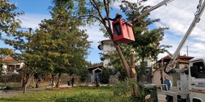 Συνεχίζονται οι καθαρισμοί χώρων πρασίνου στο Δήμο Ελασσόνας 