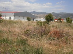 Ν. Ευαγγέλου: Εγκατάλειψη με χόρτα και κουφάρια ζώων σε οικόπεδα της Ελασσόνας 
