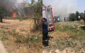Ευχαριστήριο του Δημάρχου Ελασσόνας για την κατάσβεση της πυρκαγιάς στη Συκέα Ελασσόνας