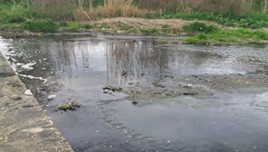 Ασυνείδητοι αδειάζουν τα απόβλητα στον Ελασσονίτη - Νέα ρύπανση του ποταμού 