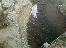 Νέα ρύπανση με τυρόγαλα και απόβλητα στον Τιταρήσιο ποταμό (Eικόνες)