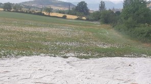 Χαλάζι σε χωριά της Ελασσόνας: Μεγάλες ζημιές σε 20.000 στρέμματα καλλιεργειών 