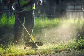Δήμος Κιλελέρ: Υποχρεωτικός ο καθαρισμός οικοπέδων που βρίσκονται εντός οικισμών
