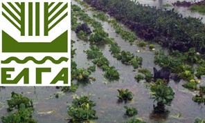 Αναγγελίες ζημιάς από το Δήμο Φαρσάλων για σειρά πληττόμενων καλλιεργειών