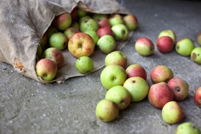 Σύσκεψη μηλοπαραγωγών στην επαρχία Αγιάς – Ζητούν ενίσχυση λόγω της πανδημίας
