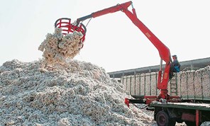 Μειωμένες παραγωγές βαμβακιού έως 30% στην επαρχία Φαρσάλων 
