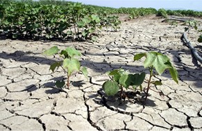 Ημερίδα στη Λάρισα για την καταπολέμηση της ερημοποίησης και της ​ξ​ηρασίας