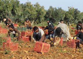 5.350 νέες άδειες διαμονής εργατών από Τρίτες χώρες στη Θεσσαλία 